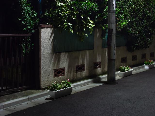 二子新地 Futako-shinchi